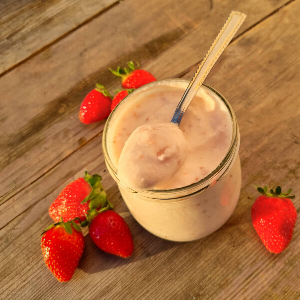Erdbeer-Joghurt 400g
