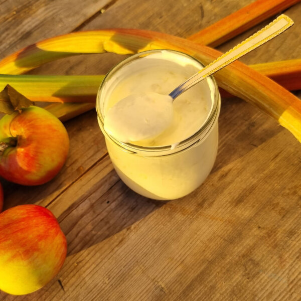 Rhabarber-Apfel Joghurt 200g